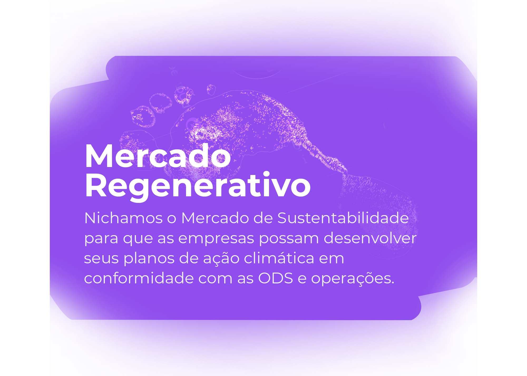 Mercado Regenerativo Tilha copiar