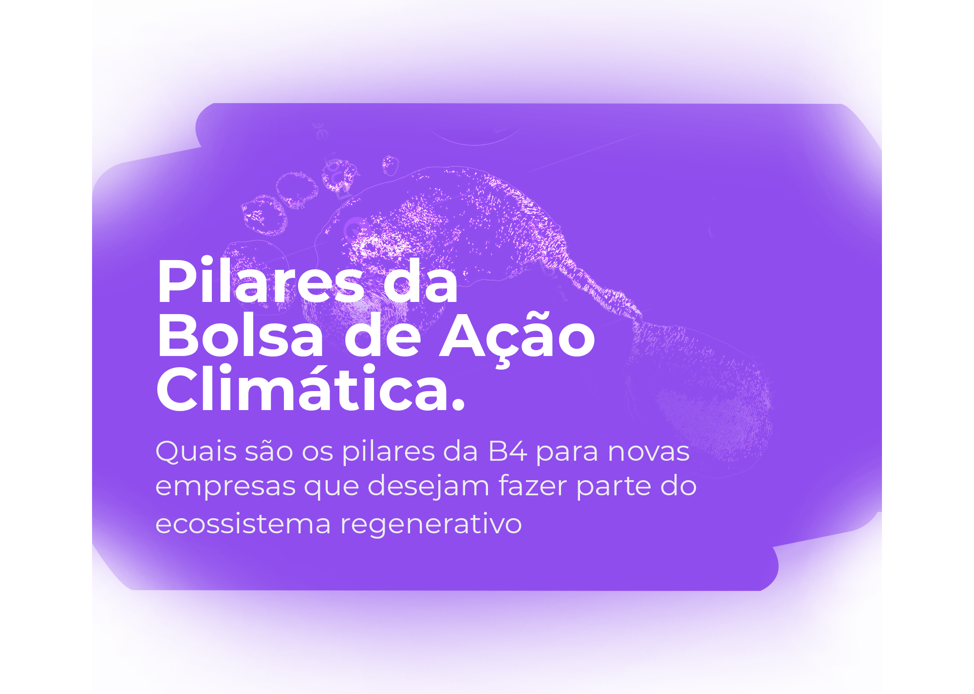 Pilares da bolsa TT copiar