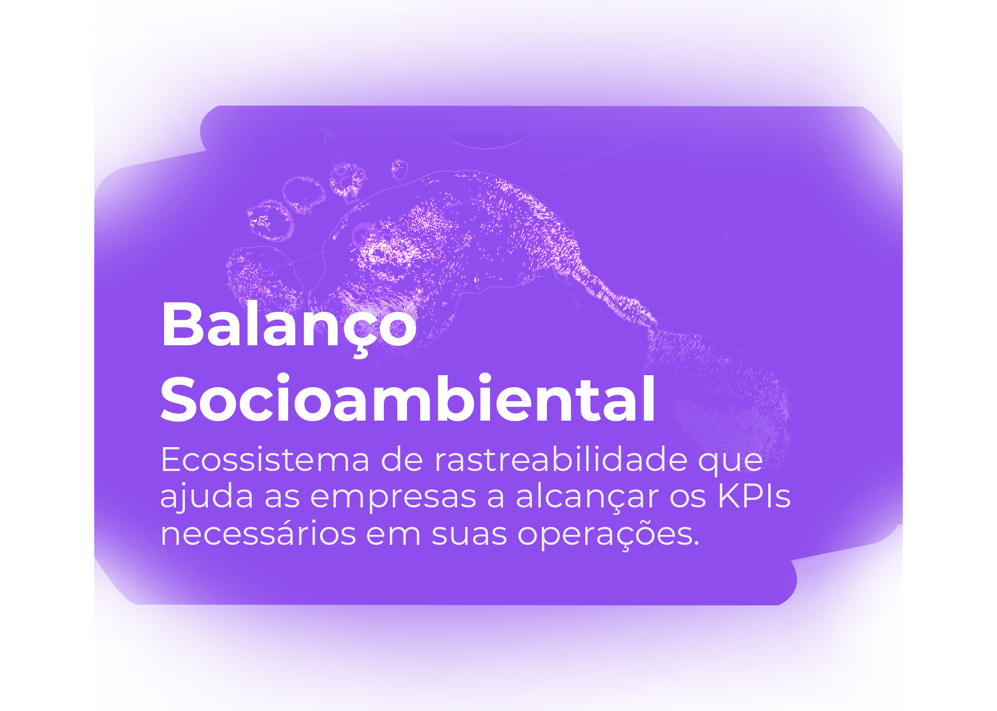 balamcco