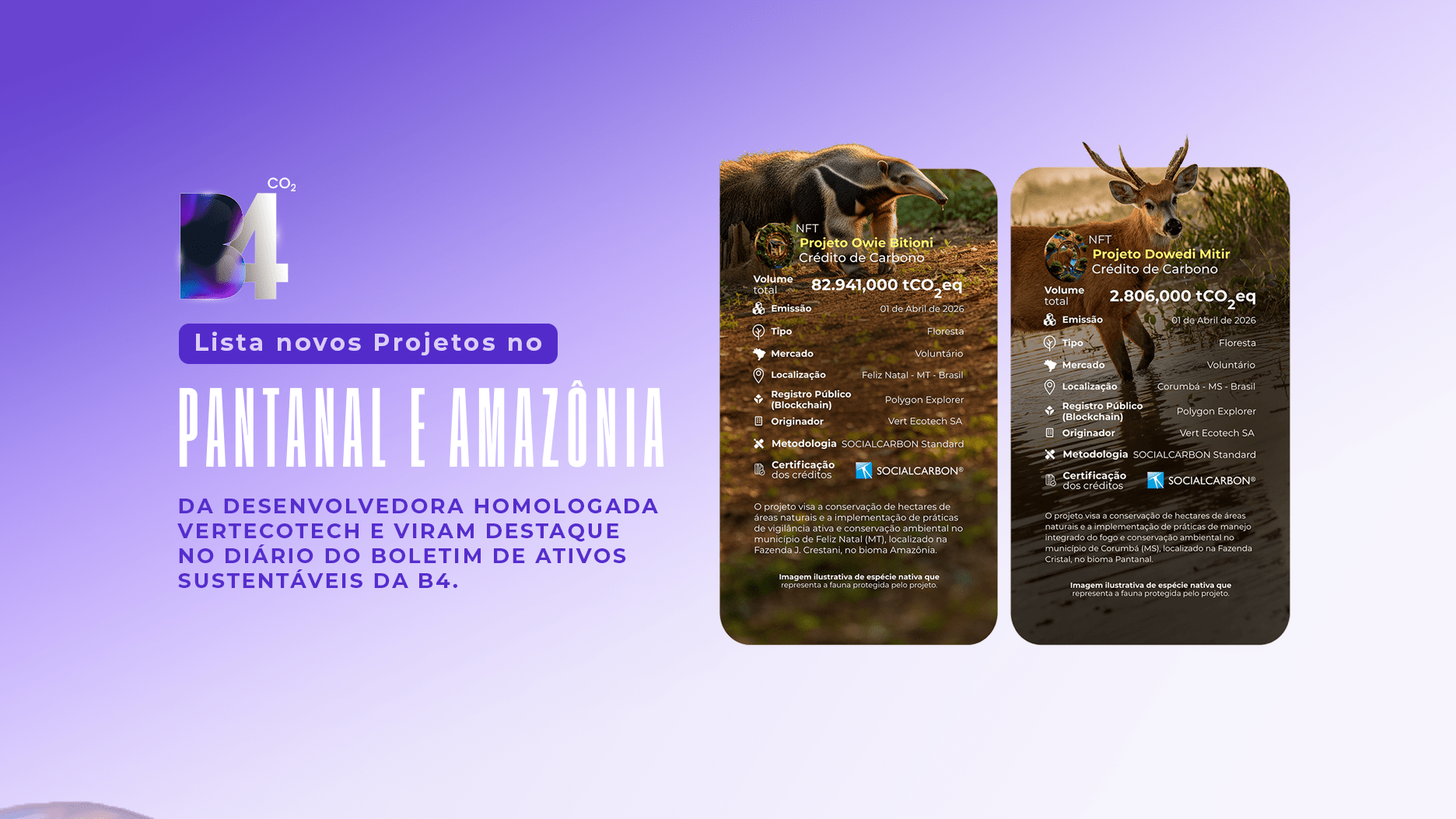 B4 lista Projetos no Pantanal e Amazônia da desenvolvedora homologada Vertecotech