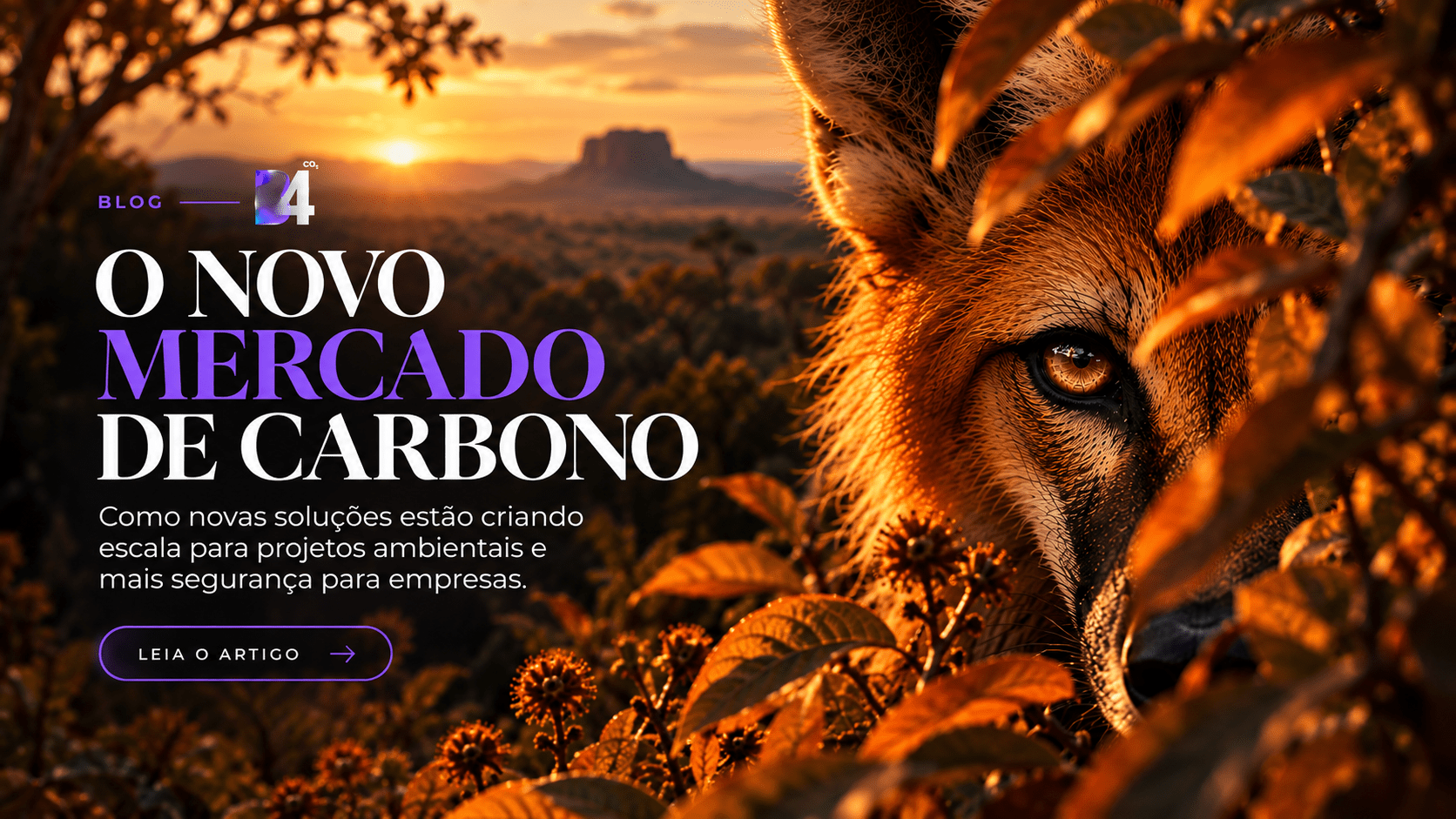 Novas Soluções para o Mercado de Carbono: Escala para Projetos, Segurança e Previsibilidade para Empresas