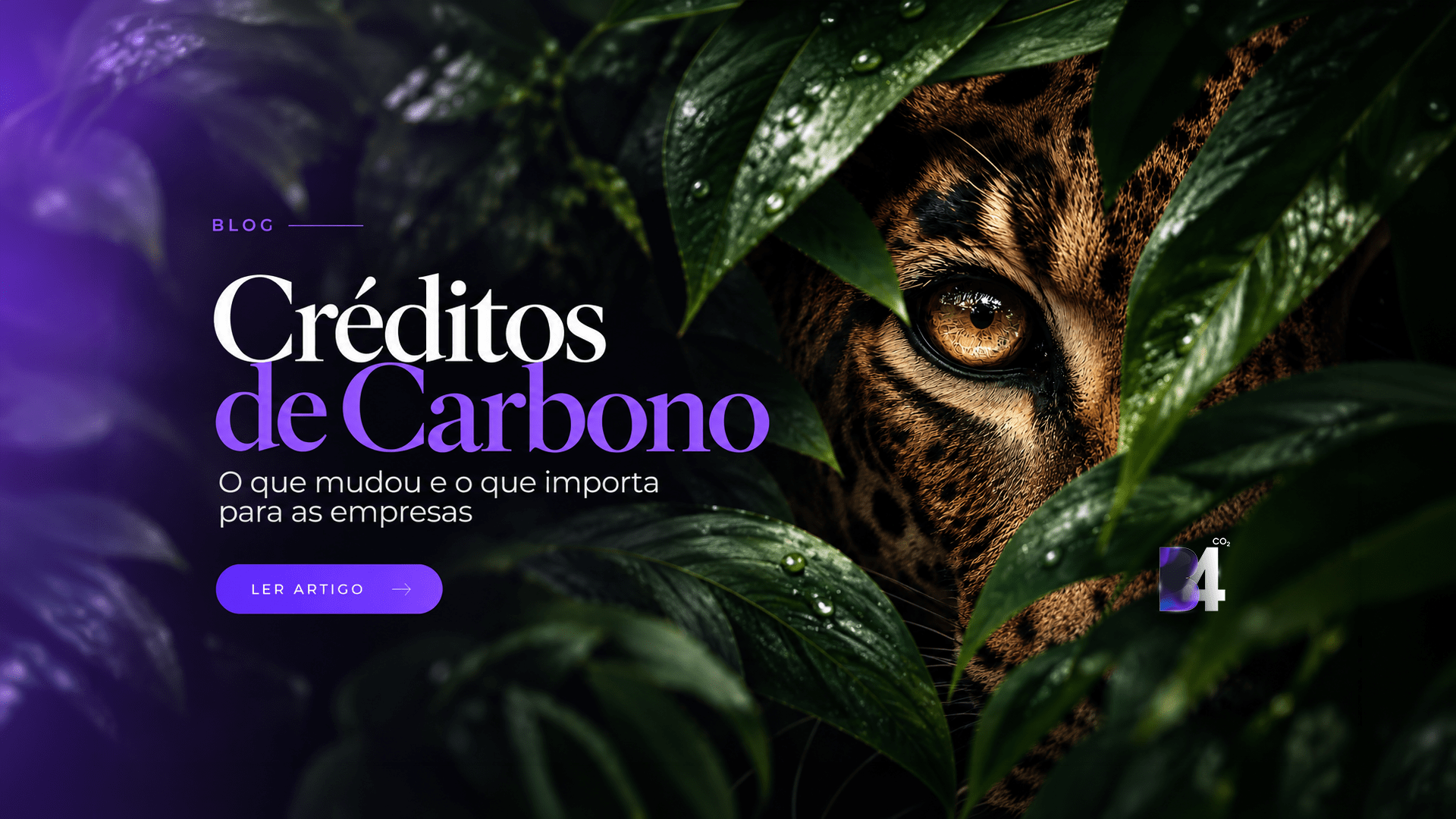 Mercado de crédito de carbono em setembro de 2026: o que mudou e por que isso importa para as empresas